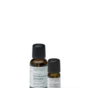 olio essenziale eucalipto globulus nasoterapia
